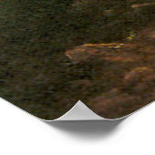 オレゴンのトレイル、アルバート・ビエルシュタット ポスター (角)