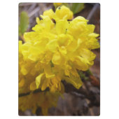 オレゴンのブドウの花イエローワイルドフラワー クリップボード (裏面)