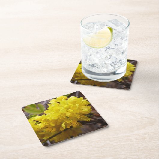 オレゴンのブドウの花イエローワイルドフラワー スクエアペーパーコースター (インサイチュ)