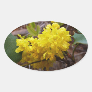 オレゴンのブドウの花イエローワイルドフラワー 楕円形シール
