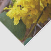 オレゴンのブドウの花イエローワイルドフラワー 薄葉紙 (詳細)