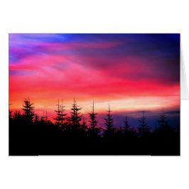 オレゴンの夕日の下の松の木