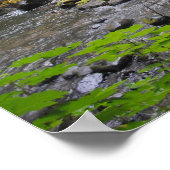 オレゴンの森 ポスター (角)