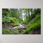 オレゴンの森 ポスター (正面)