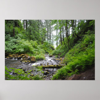 オレゴンの森 ポスター