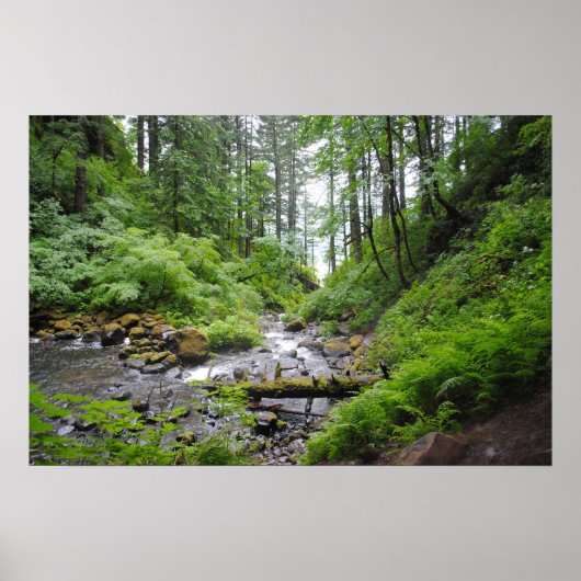 オレゴンの森 ポスター (正面)