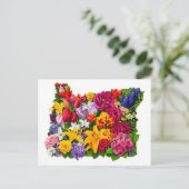 オレゴンの花からの挨拶開花 ポストカード (スタンド正面)