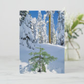 オレゴンの雪に覆われた森 サンキューカード (スタンド正面)