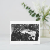 オレゴンコーストシーライオンケイブズインテリアビュー ポストカード (スタンド正面)