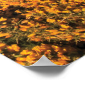 オレゴンビーチビューインバンドン ポスター (角)