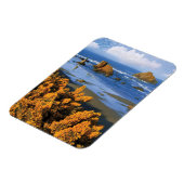 オレゴンビーチビューインバンドン マグネット (左側)