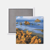 オレゴンビーチビューインバンドン マグネット (正面/裏面)