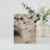 オレゴンビーチ ポストカード (スタンド正面)