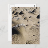 オレゴンビーチ ポストカード (正面/裏面)