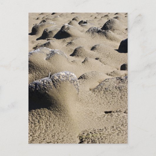 オレゴンビーチ ポストカード (正面)