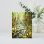 オレゴンファンタジーフォレストストリーム ポストカード (スタンド正面)