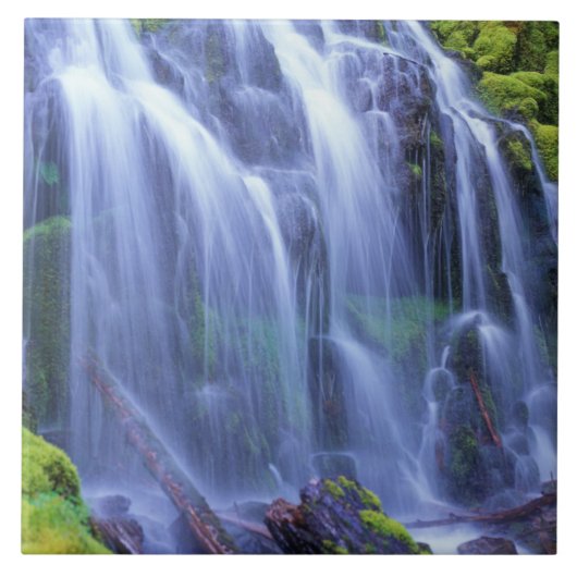 オレゴン中部カスケード山脈のプロキシ秋 タイル (正面)