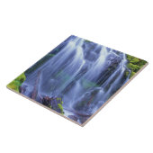 オレゴン中部カスケード山脈のプロキシ秋 タイル (側面)