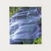 オレゴン中部カスケード山脈のプロキシ秋 タペストリー (正面)