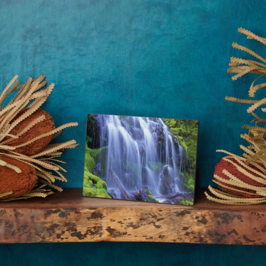 オレゴン中部カスケード山脈のプロキシ秋 フォトプラーク (側面)