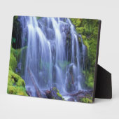 オレゴン中部カスケード山脈のプロキシ秋 フォトプラーク (側面)