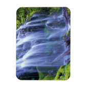 オレゴン中部カスケード山脈のプロキシ秋 マグネット (縦)