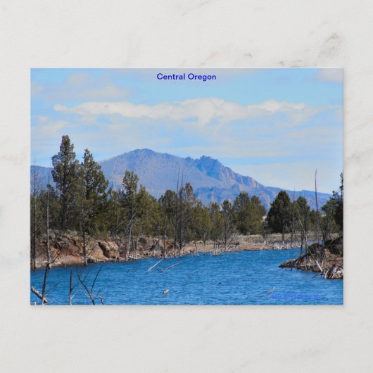 オレゴン中部 ポストカード (正面)