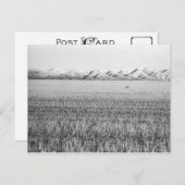 オレゴン中部、マウピンの北（はがき） ポストカード (正面/裏面)