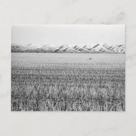 オレゴン中部、マウピンの北（はがき） ポストカード