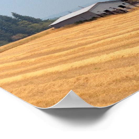 オレゴン州と収穫した小麦畑 ポスター (角)