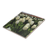 オレゴン州のフィールドに白いチューリップ タイル (側面)