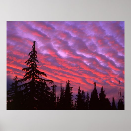 オレゴン州の三人の姉妹ウィルダネス ポスター (正面)