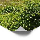 オレゴン州の曲がった川 ポスター (角)