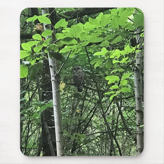 オレゴン州の木々に生息するフクロウ マウスパッド (正面)