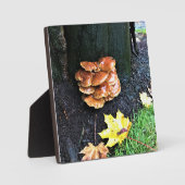 オレゴン州の木のキノコ フォトプラーク (正面)