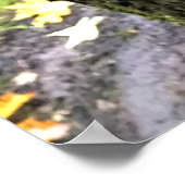 オレゴン州の木のキノコ ポスター (角)