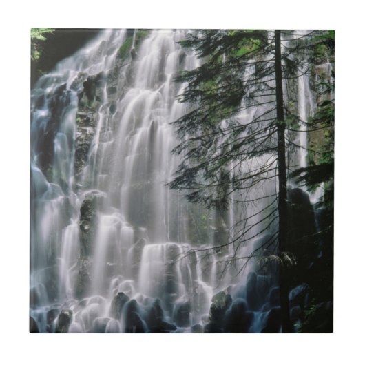 オレゴン州の森の滝 タイル (正面)