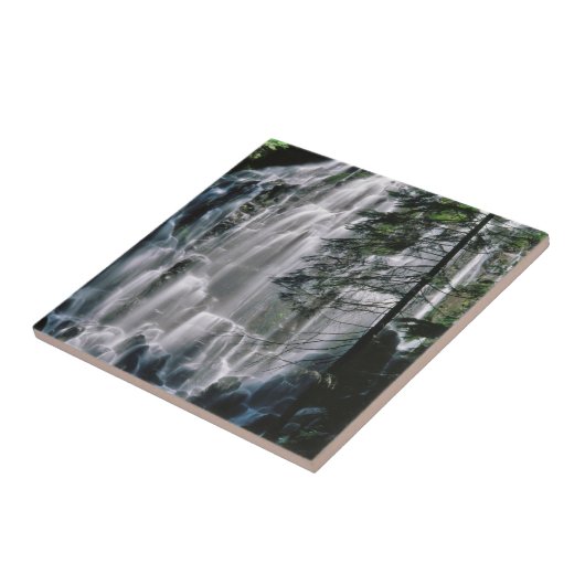 オレゴン州の森の滝 タイル (側面)