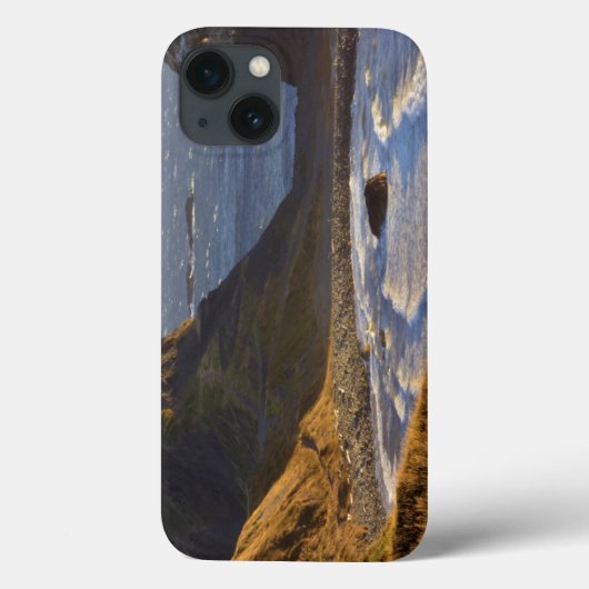 オレゴン州の海岸の日の入り、シー・スタック、シスターズ Case-Mate iPhoneケース (裏面)