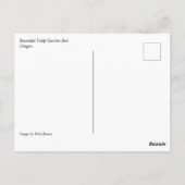 オレゴン州の美しいチューリップガーデンベッド ポストカード (裏面)