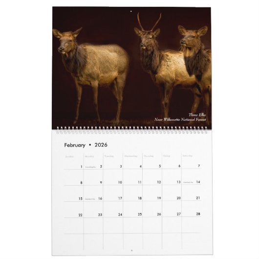 オレゴン州の自然と野生動物の画像 カレンダー (2月 2026)