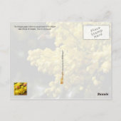 オレゴン州の花：オレゴンのブドウ ポストカード (裏面)