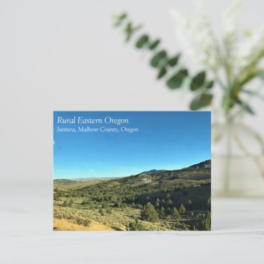 オレゴン州の農村部、ジュントゥラ州、マラウール郡、オレゴン ポストカード (スタンド正面)