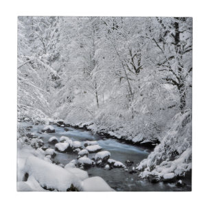オレゴン州の雪景色のクリ-ク タイル
