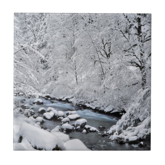 オレゴン州の雪景色のクリ-ク タイル (正面)