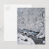 オレゴン州の雪景色のクリ－ク ポストカード (正面/裏面)