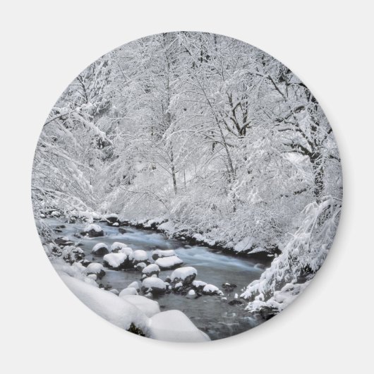 オレゴン州の雪景色のクリ-ク マグネット (正面)