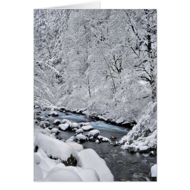 オレゴン州の雪景色の小川 (正面)