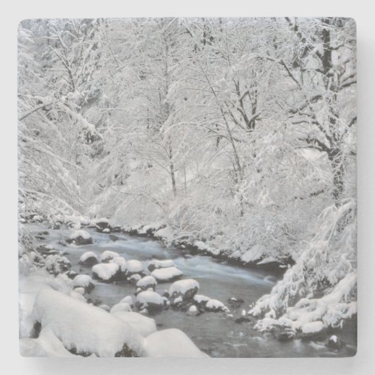 オレゴン州の雪景色の小川 ストーンコースター (正面)