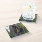 オレゴン州アストリアのカテドラルツリー ガラスコースター (アングル)